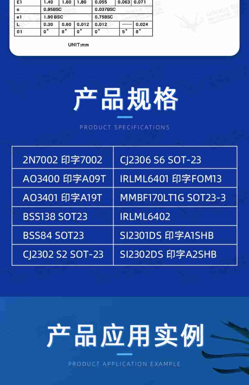 活动现场 (央广网发 王琛 摄)
